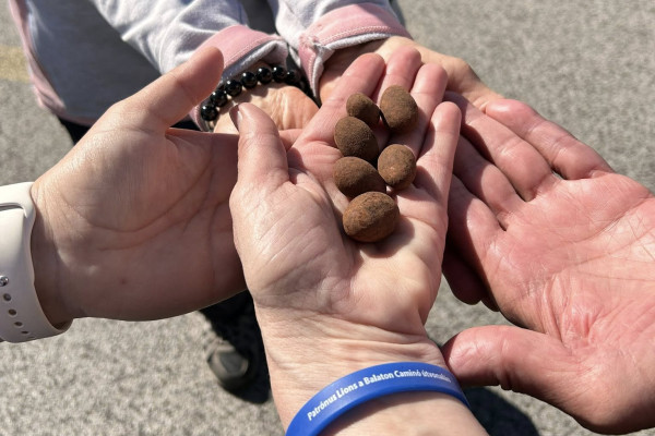 Patrónus LC Győr: Patrónus Lions a Balaton Camino útvonalán, 9.nap: Fagyiii